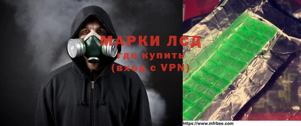 гашик Алексин
