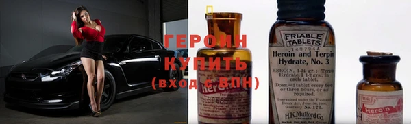 гашик Алексин