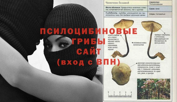 кокс Алексеевка