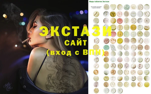 гашик Алексин