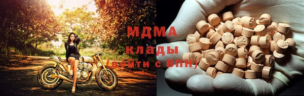 гашик Алексин