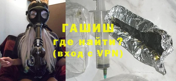 гашик Алексин