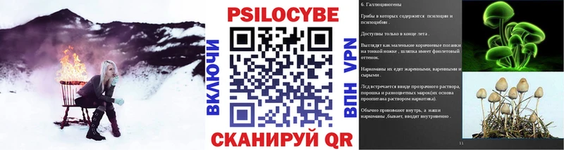 ссылка на мегу онион  что такое наркотик  Бакал  Галлюциногенные грибы Psilocybine cubensis 