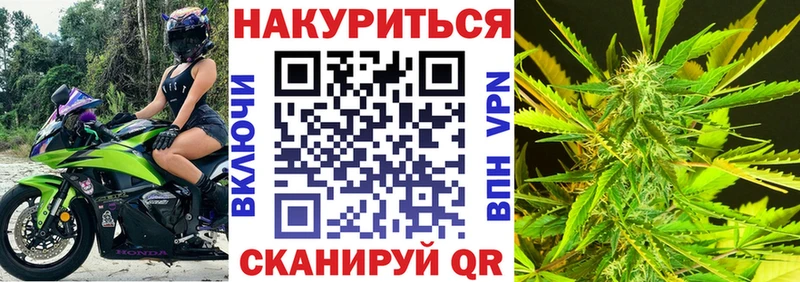 кракен зеркало Бакал Шишки марихуана ГИДРОПОН